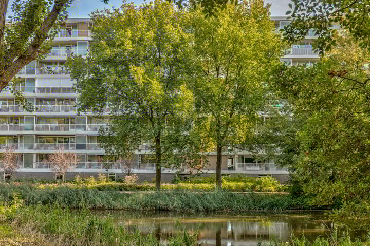 Photo 25 of Anatole Franceplaats 664