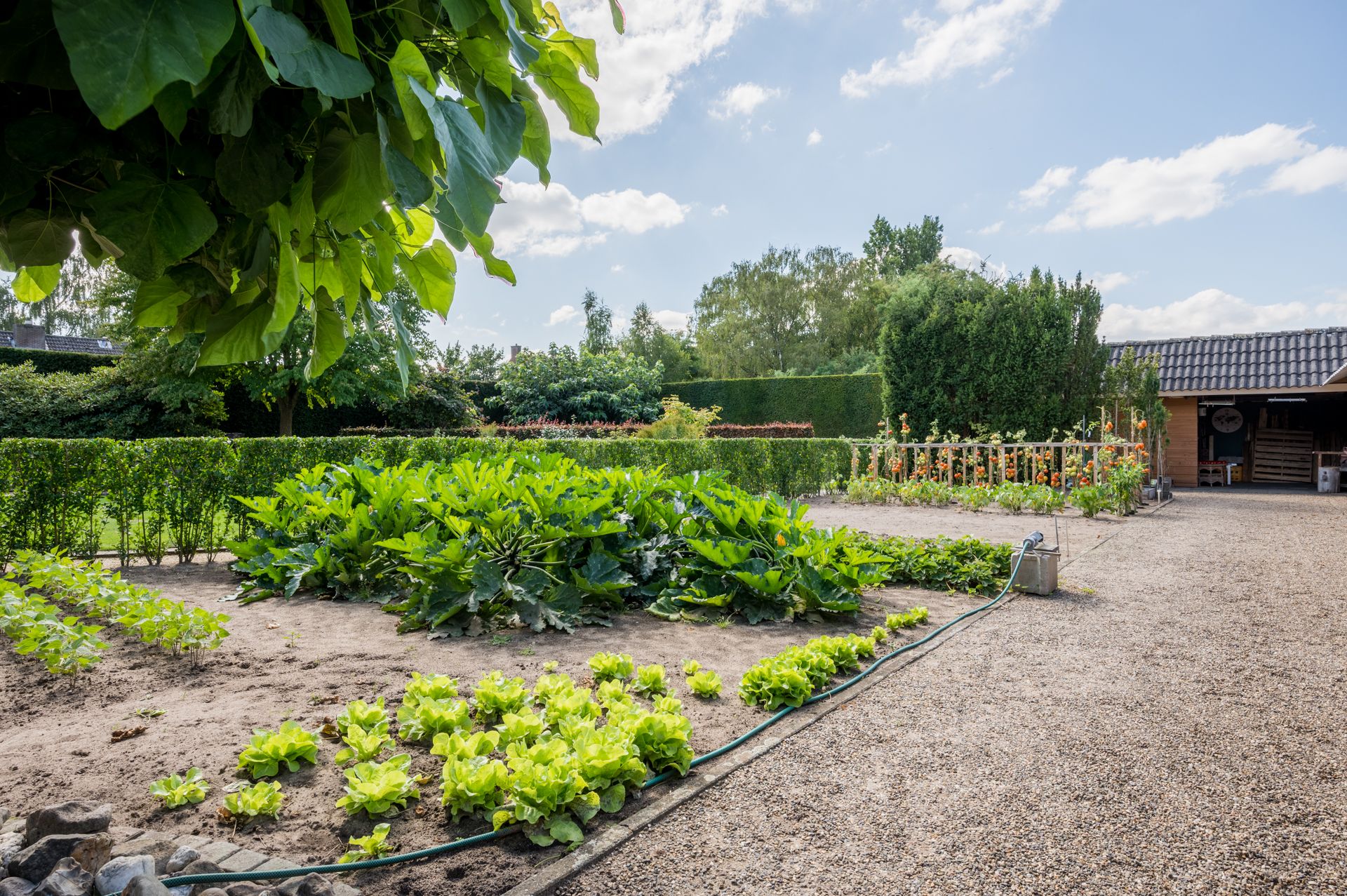 Foto 27 van Steenweg 4