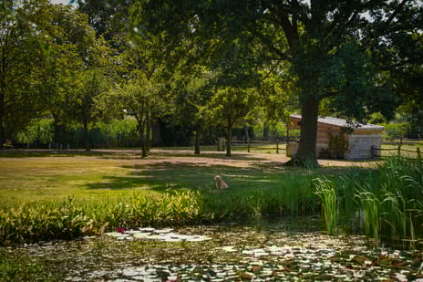 Oetelaarsestraat 4 secondary image