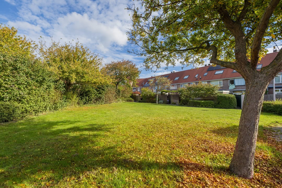 Foto 53 van Haagwinde 5