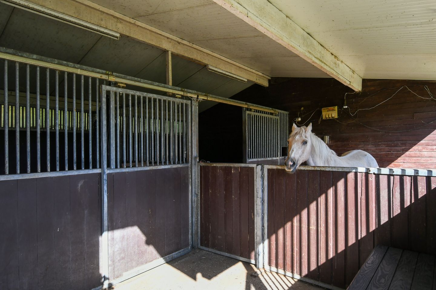 Foto 44 van Op de Bos 7-A