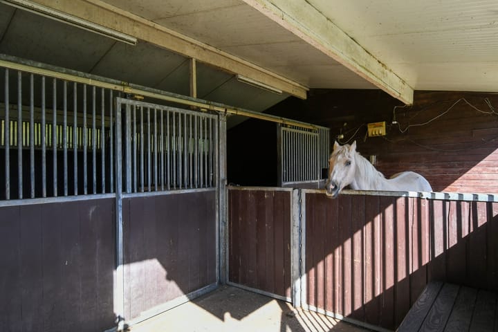 Foto 44 van Op de Bos 7-A