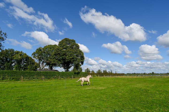 Foto 48 van Op de Bos 7-A