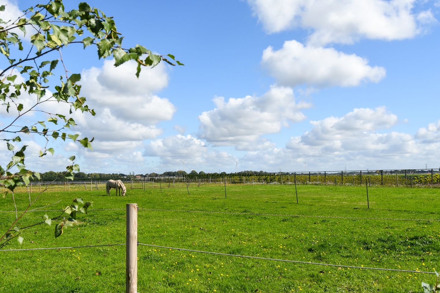 Foto 49 van Op de Bos 7-A