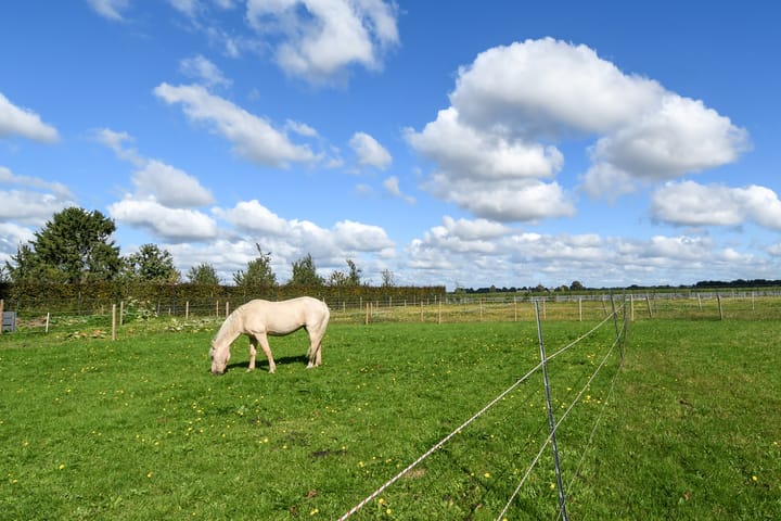 Foto 50 van Op de Bos 7-A