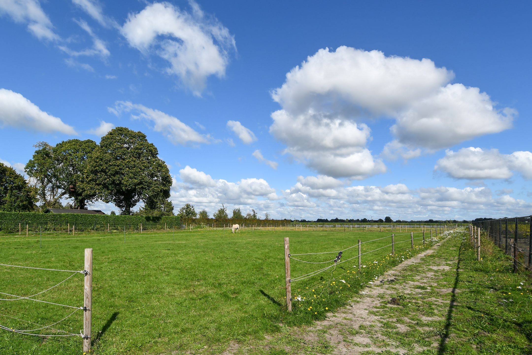 Foto 51 van Op de Bos 7-A