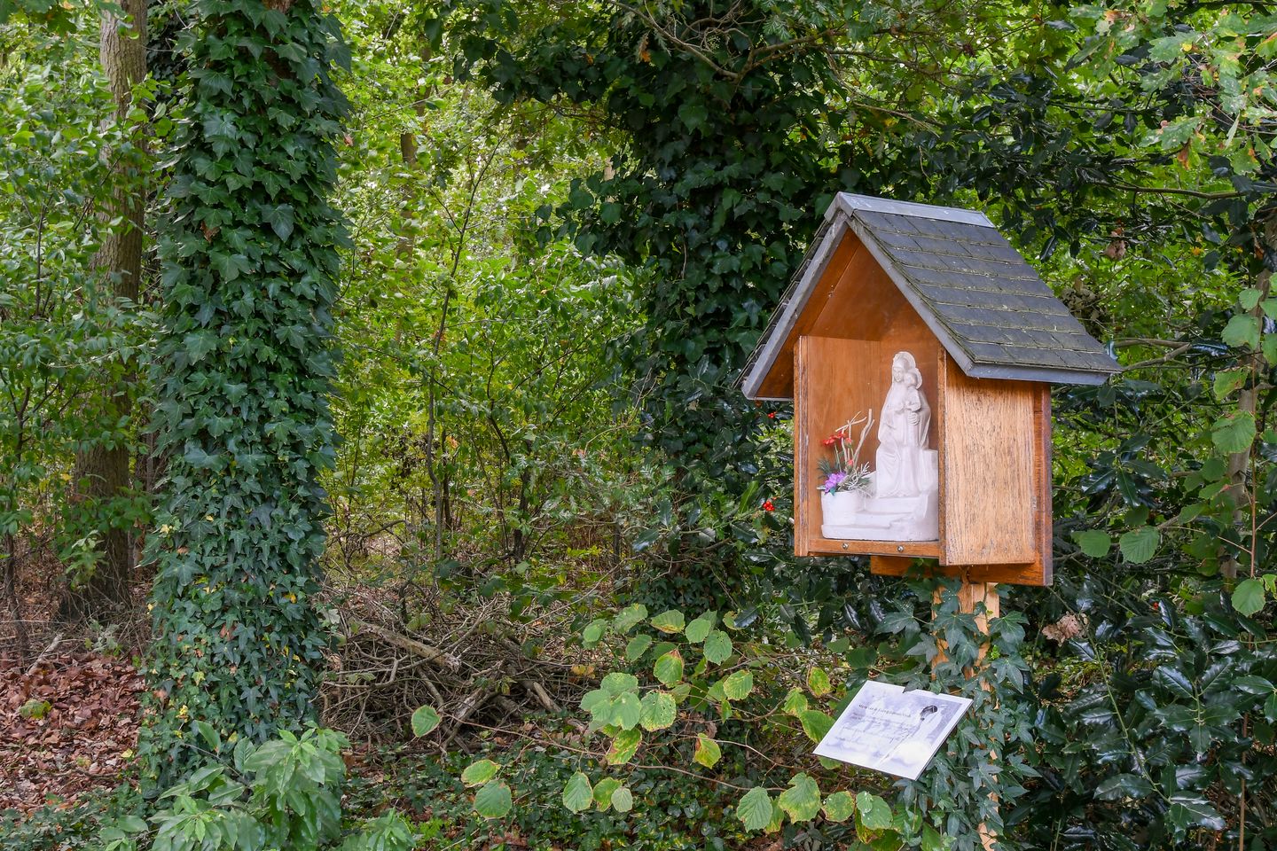 Foto 59 van Op de Bos 7-A