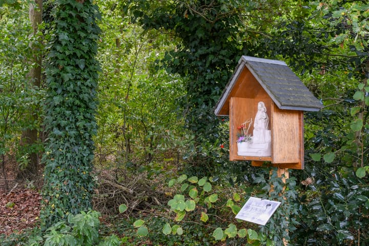 Foto 59 van Op de Bos 7-A