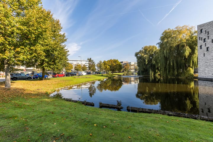 Foto 48 van Van Beethovensingel 22