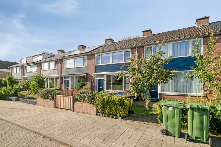 Foto 5 van Raaigras 47