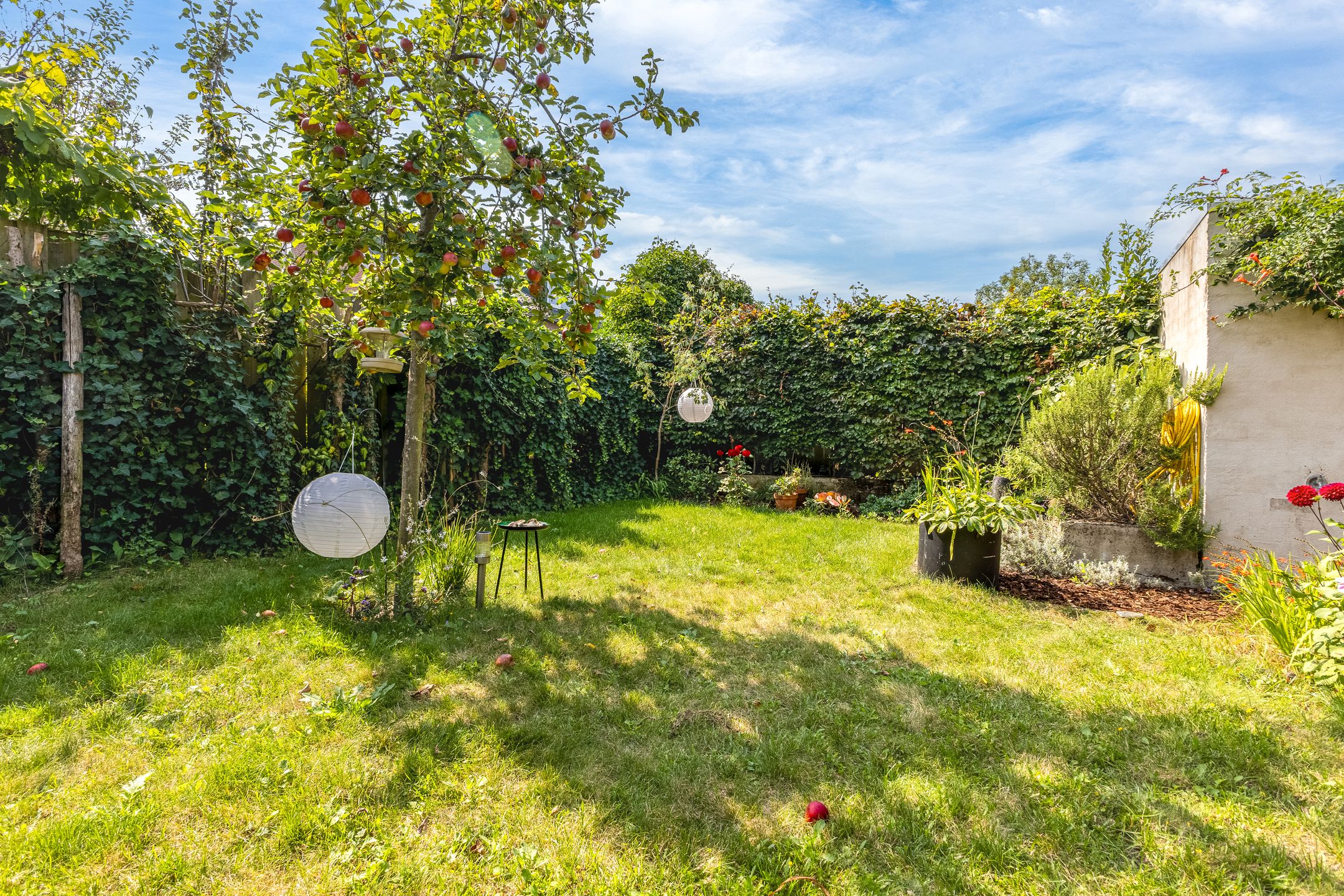 Foto 63 van Uilenspiegelstraat 5