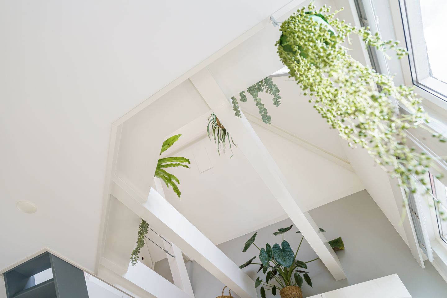 Foto 19 van Oranjestraat 8