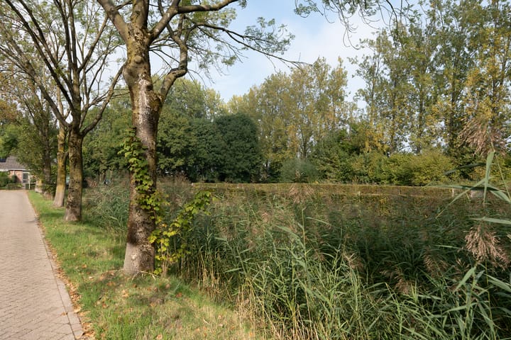 Foto 30 van Patrijsstraat 8