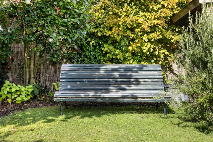 Foto 38 van Strampenstraat 12