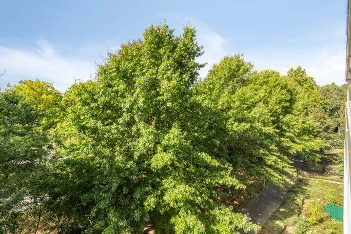 Foto 23 van de Koppele 83