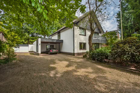 undefined main image