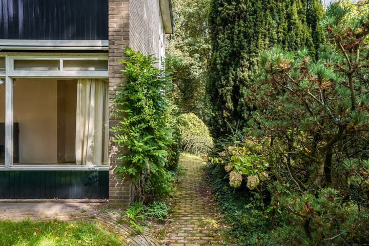 Foto 5 van Beelaertslaan 51