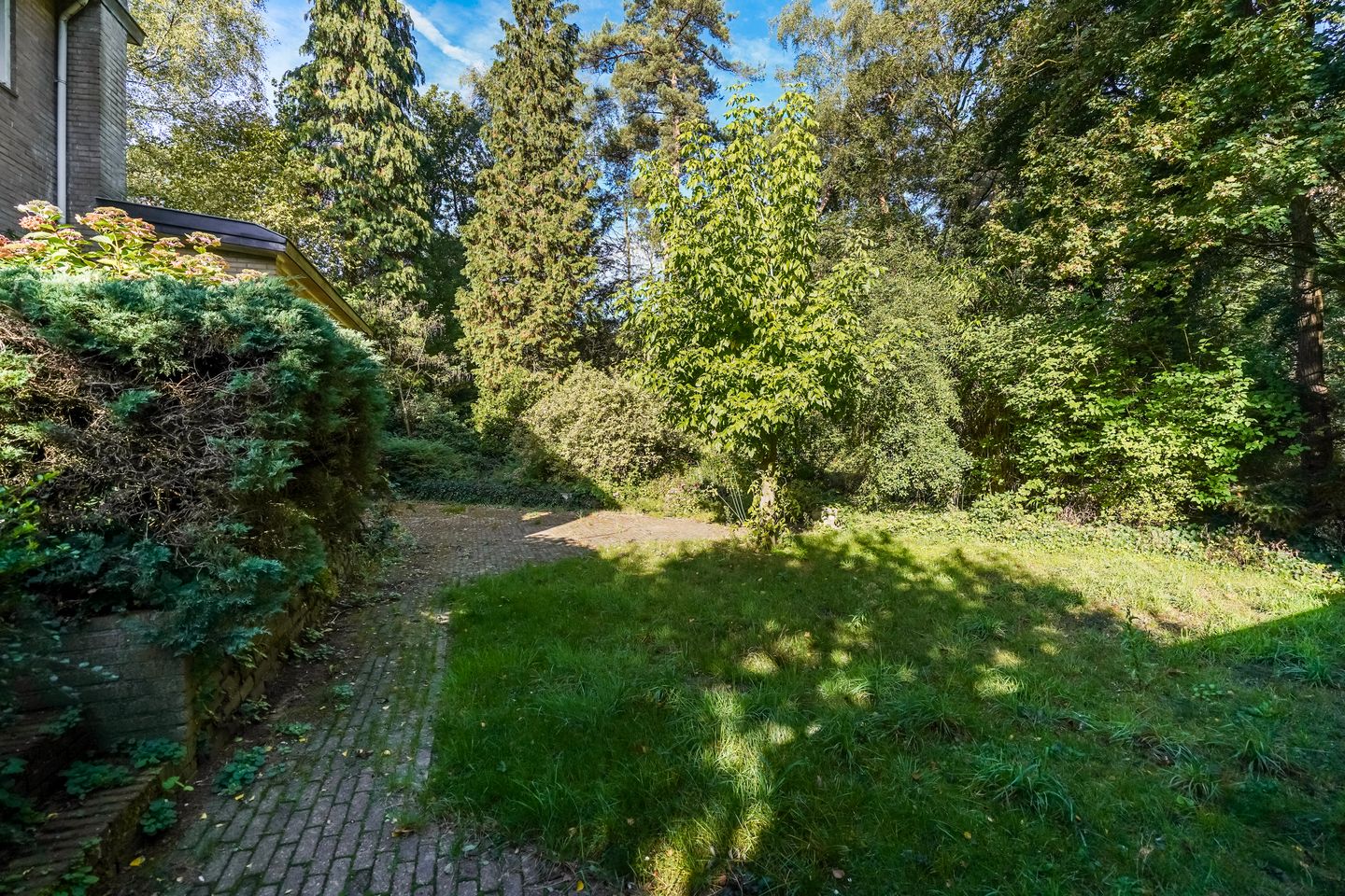 Foto 29 van Beelaertslaan 51