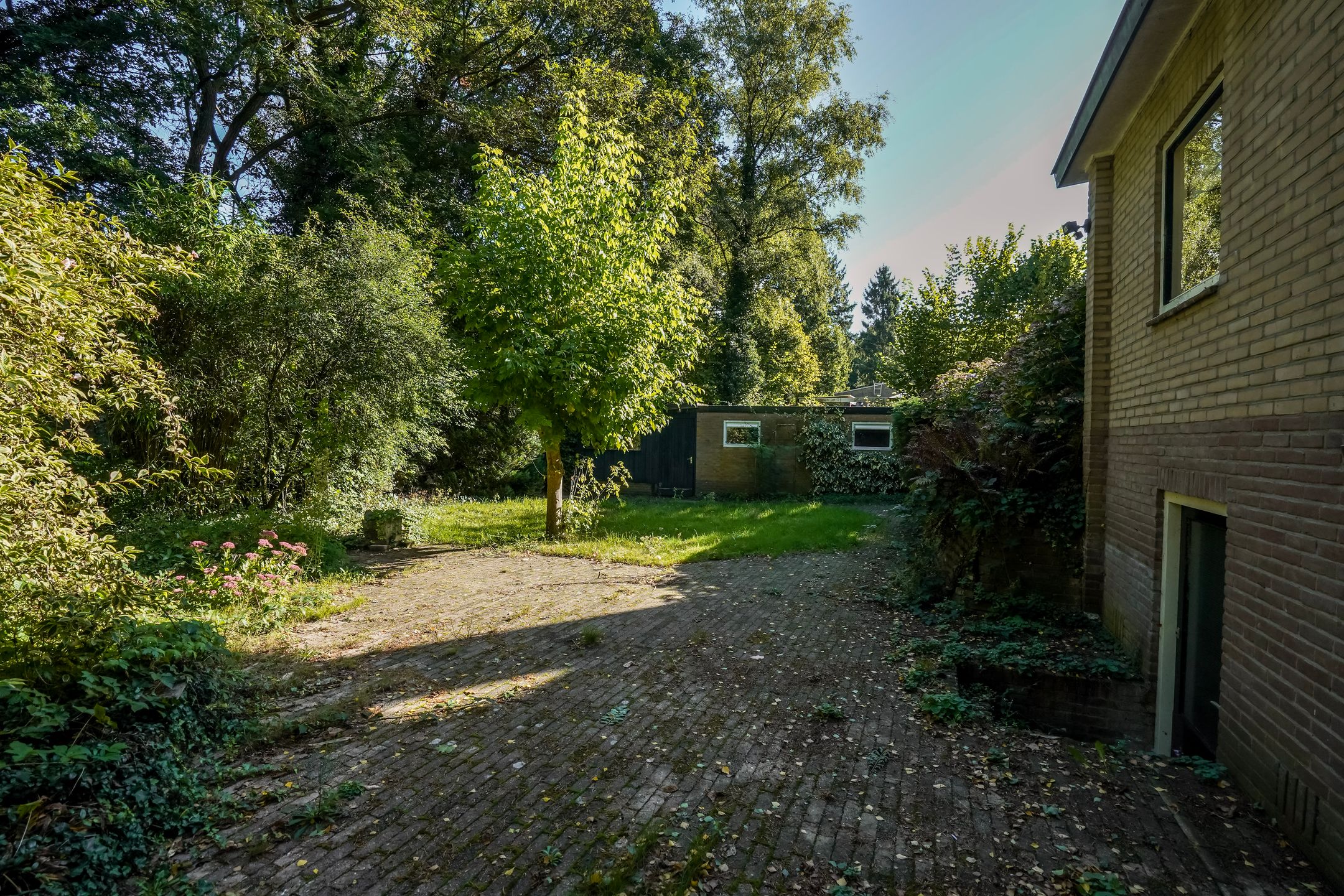 Foto 30 van Beelaertslaan 51