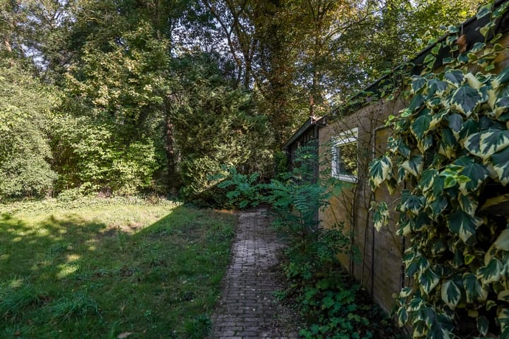 Foto 31 van Beelaertslaan 51