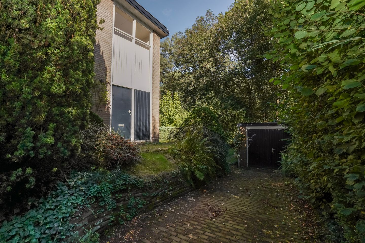 Foto 34 van Beelaertslaan 51