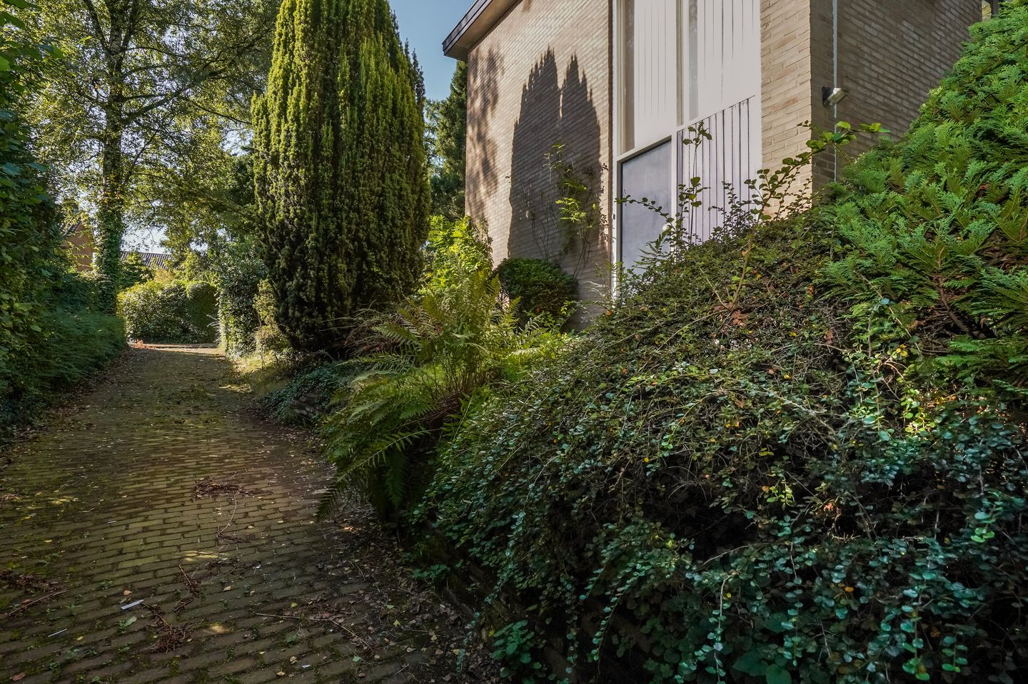 Foto 35 van Beelaertslaan 51