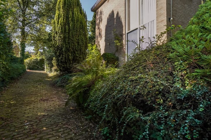 Foto 35 van Beelaertslaan 51