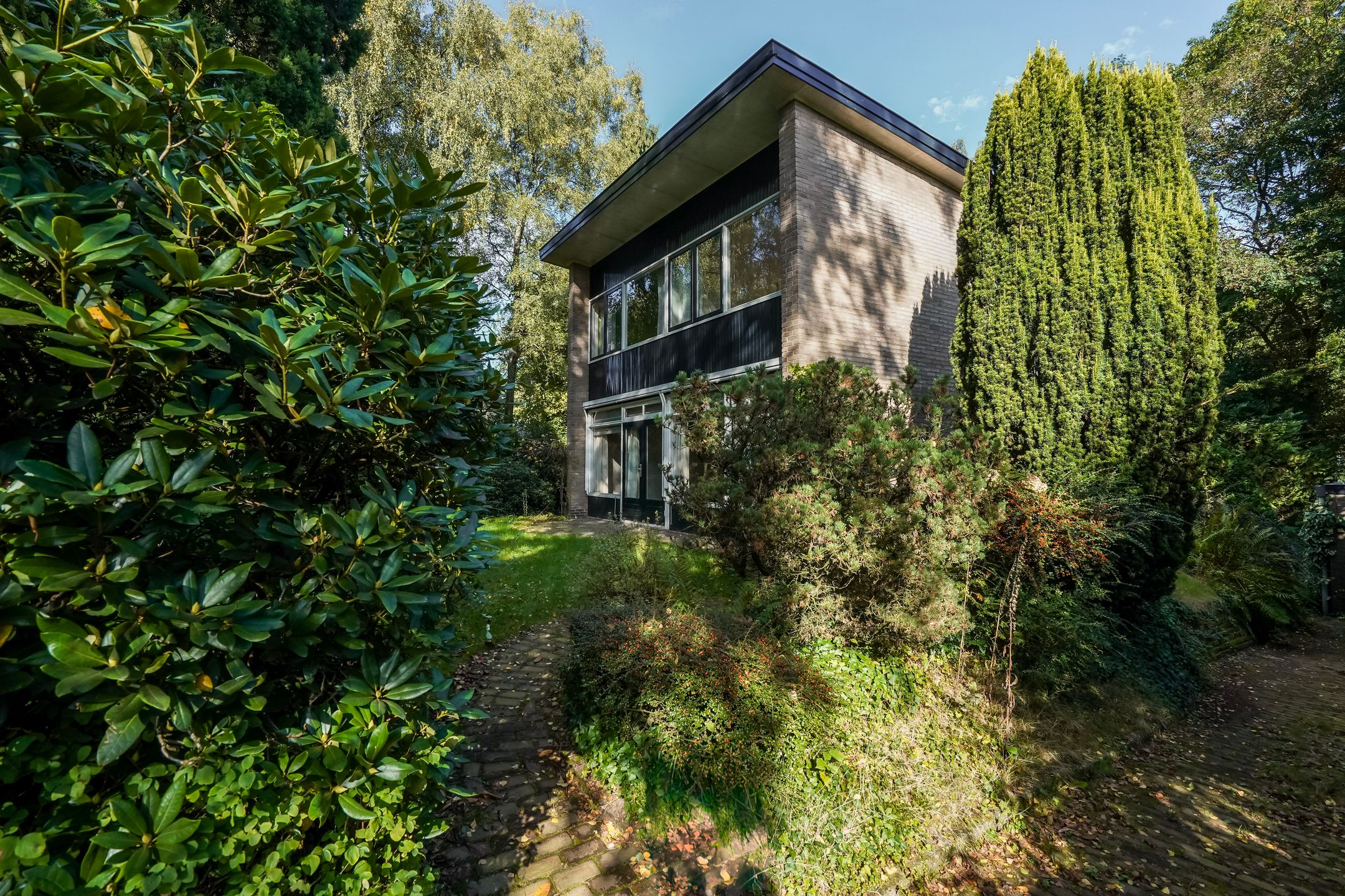 Foto 36 van Beelaertslaan 51