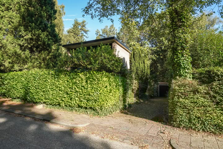 Foto 38 van Beelaertslaan 51