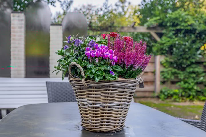 Photo 57 of Houtkampweg 5