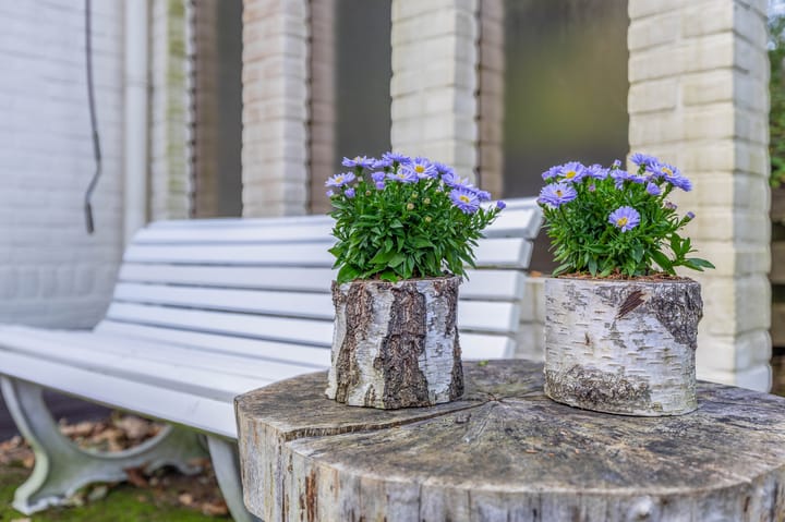 Photo 58 of Houtkampweg 5