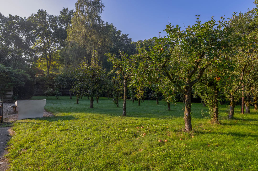 Photo 71 of Houtkampweg 5