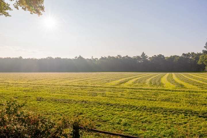 Photo 89 of Houtkampweg 5