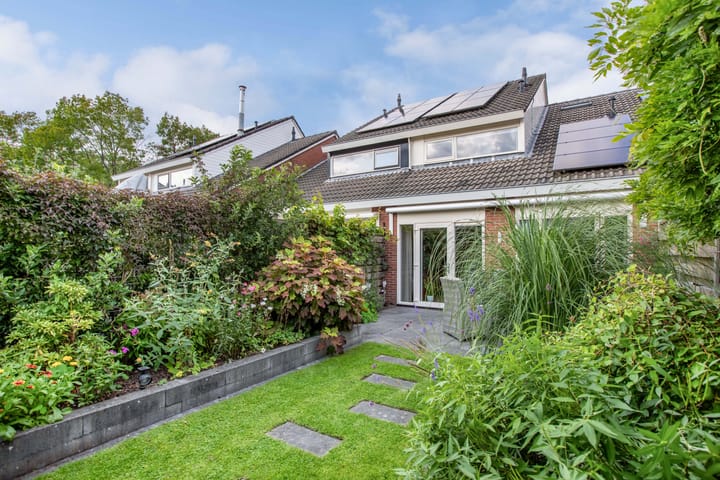 Foto 48 van De Twee Gebroeders 46