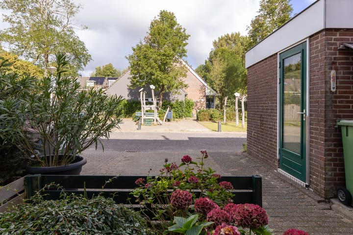 Foto 8 van Hondsdraf 66