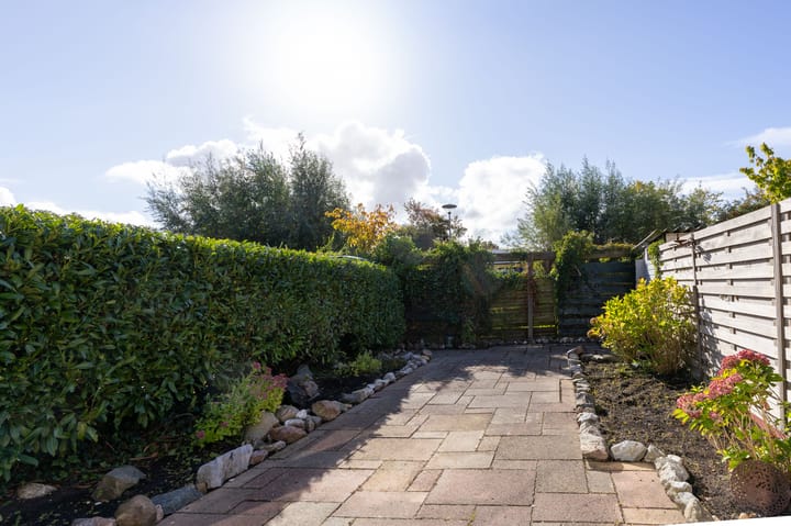 Foto 30 van Hondsdraf 66