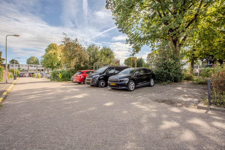 Foto 33 van Kolkrijst 79