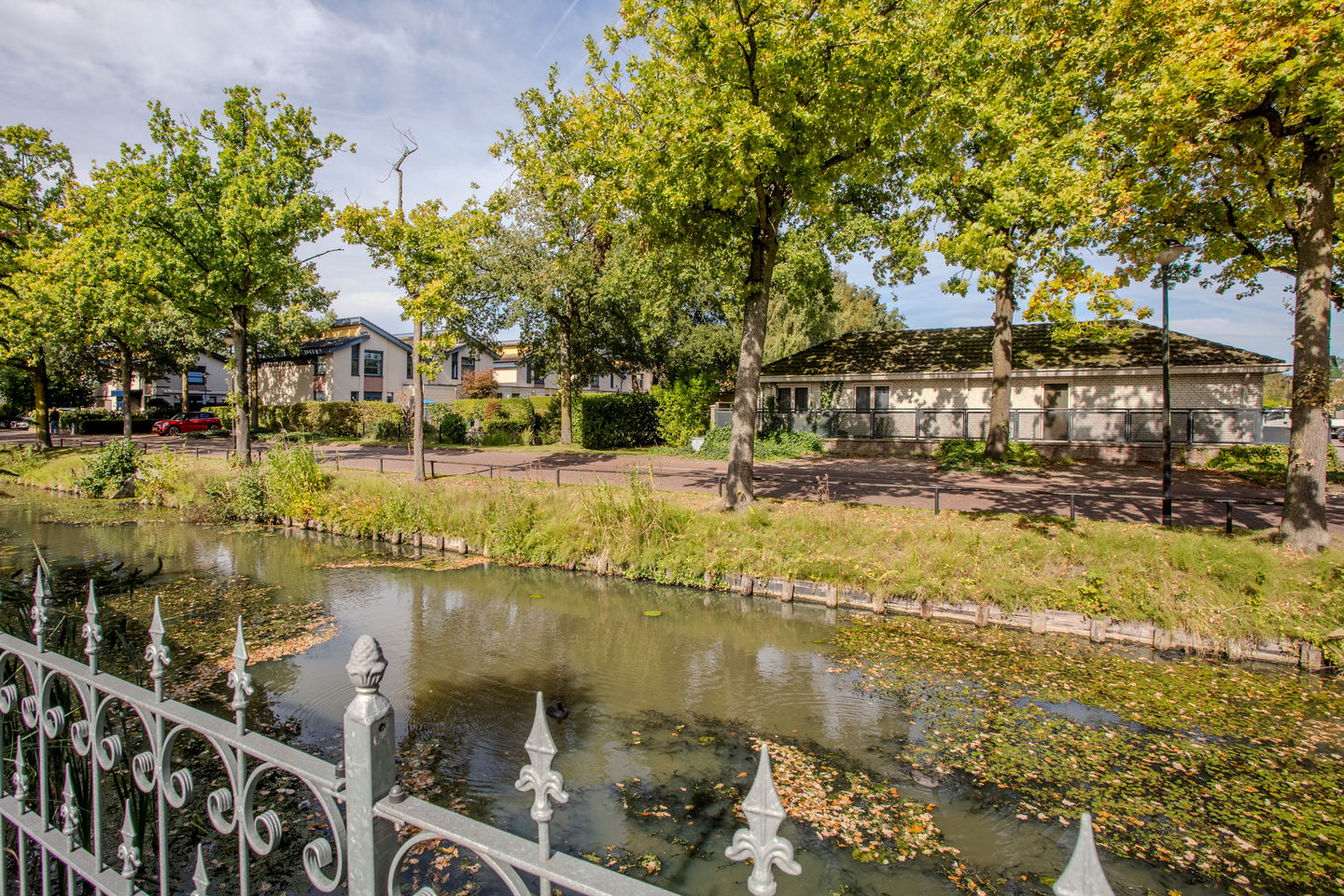 Foto 29 van Kolkrijst 79