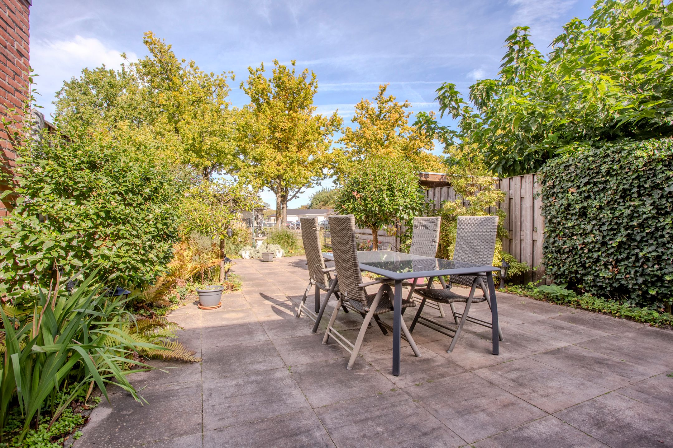 Foto 27 van Kolkrijst 79