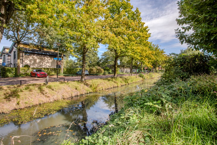 Foto 31 van Kolkrijst 79