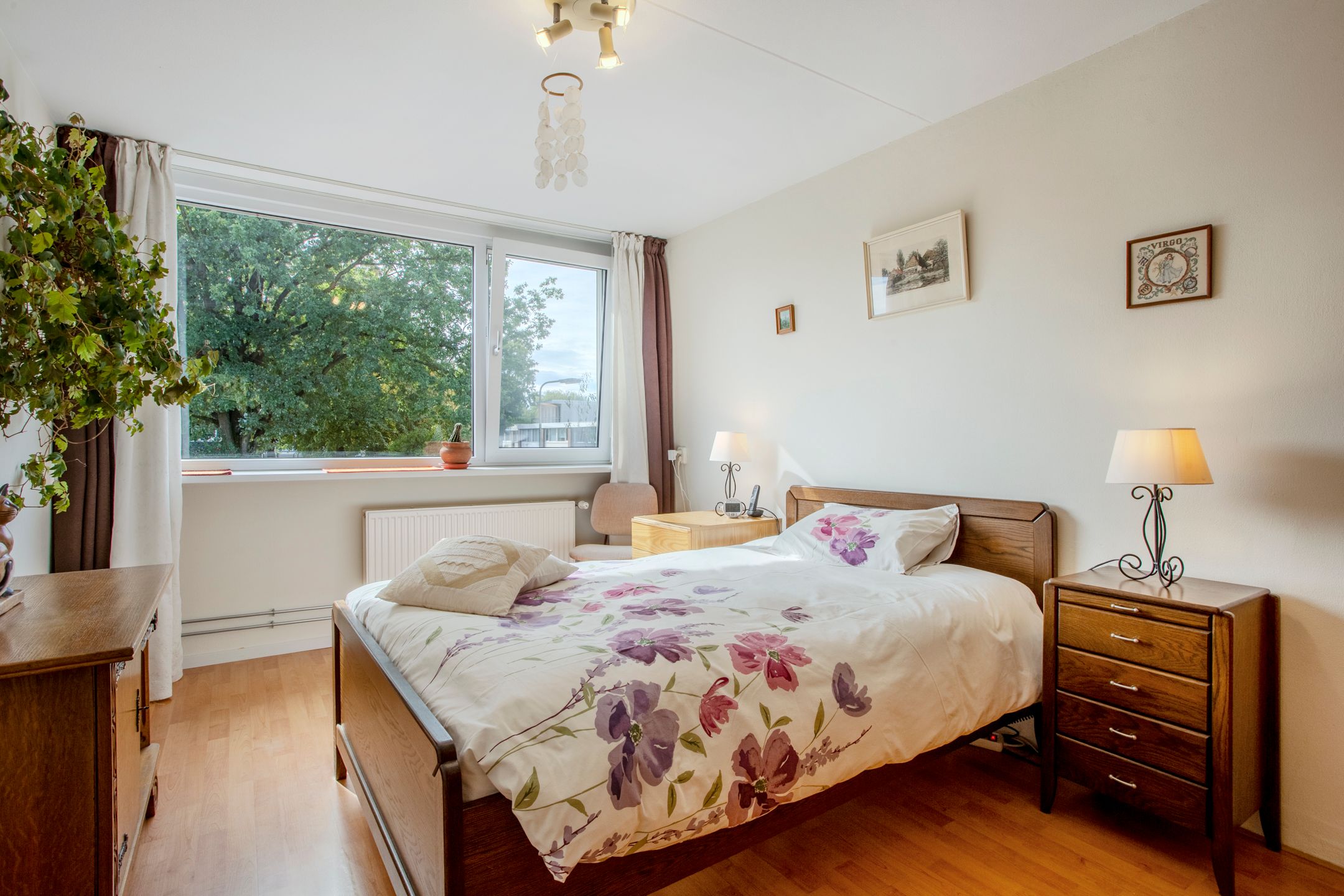 Foto 21 van Kolkrijst 79