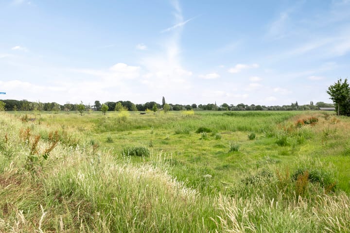 Photo 33 of Lemoenappel 7