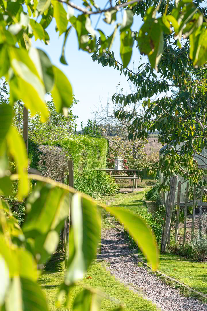 Photo 67 of Valtherblokken-Zuid 37