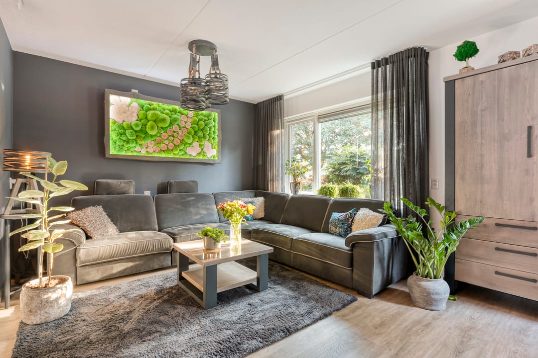 Foto 11 van Taxus 24