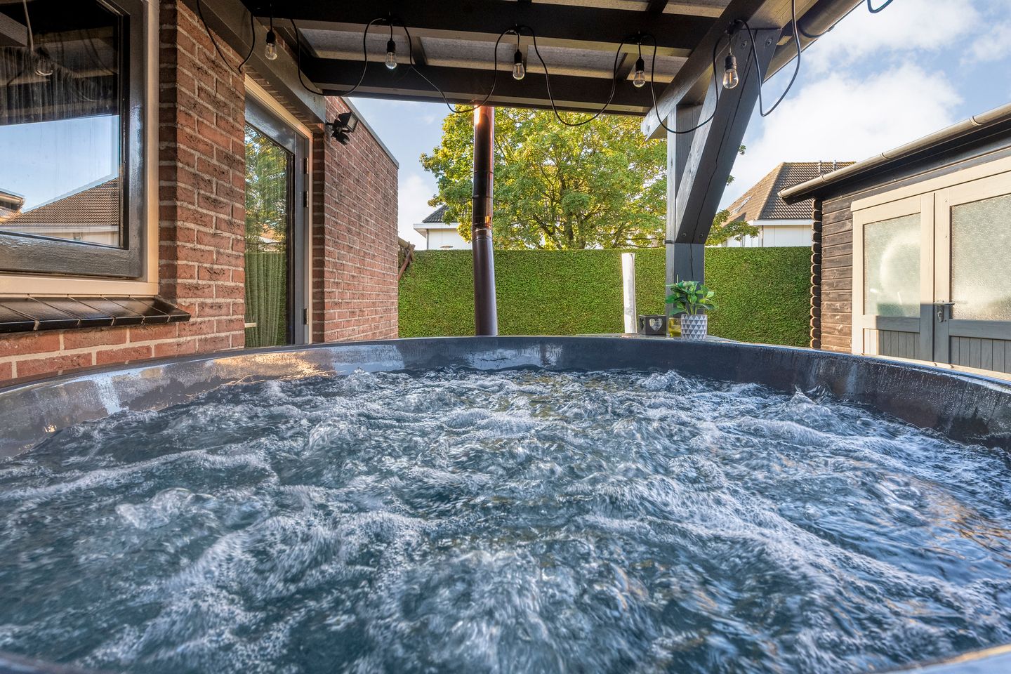 Foto 35 van Taxus 24