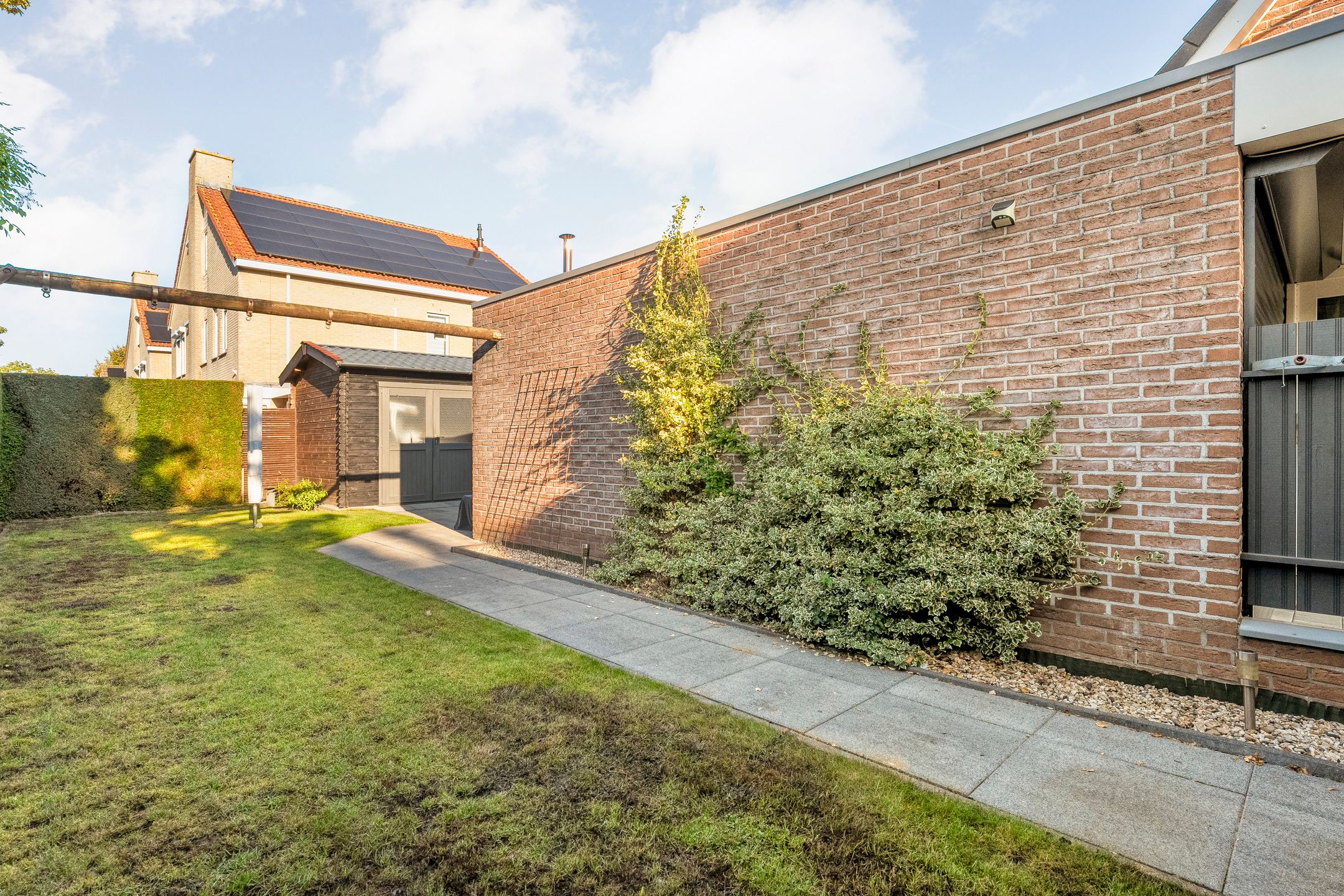 Foto 39 van Taxus 24