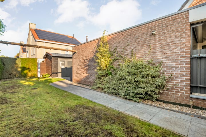 Foto 39 van Taxus 24