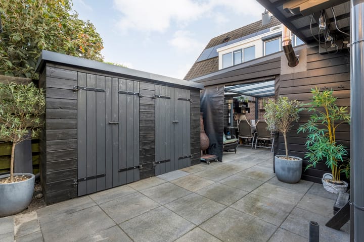 Foto 40 van Taxus 24