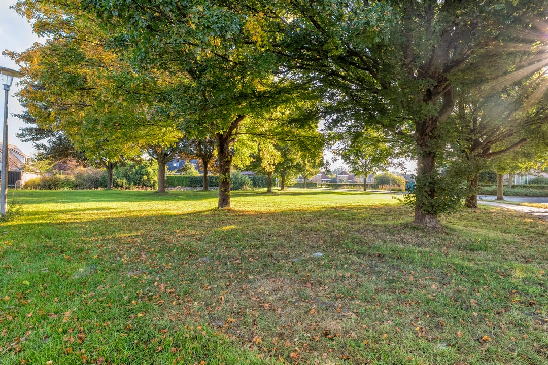 Foto 41 van Taxus 24