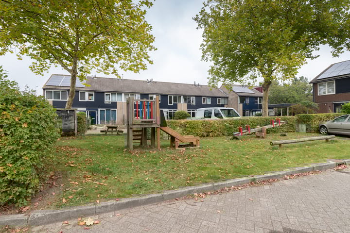 Foto 37 van Schieland 50